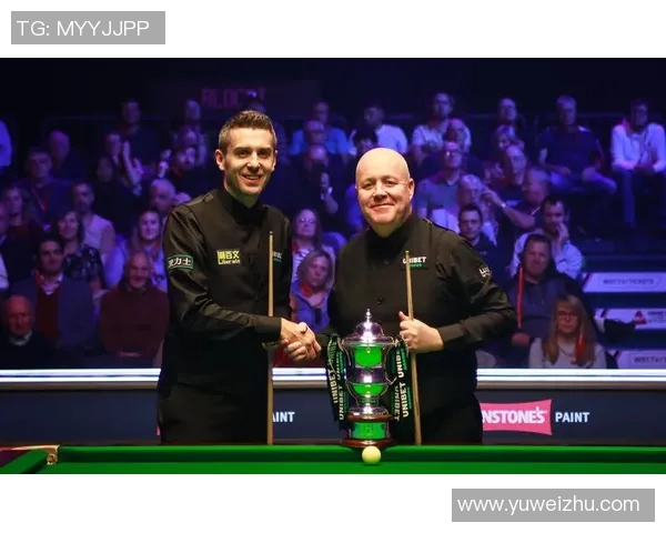 赛尔比与希金斯巅峰对决决赛精彩瞬间回顾与分析 赛尔比与希金斯巅峰对决决赛精彩瞬间回顾与分析