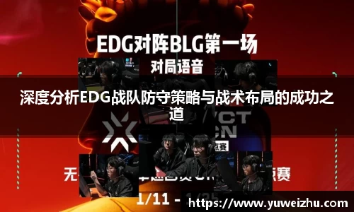 333体育官网
