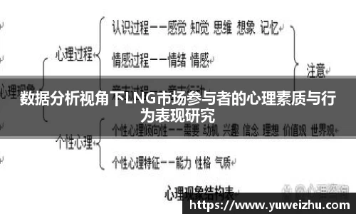 数据分析视角下LNG市场参与者的心理素质与行为表现研究