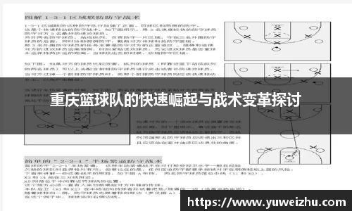 333体育官网