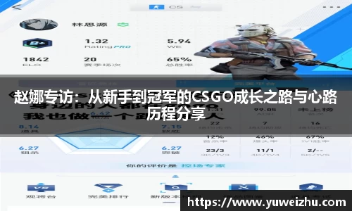 333体育官网