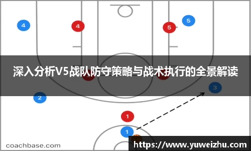 333体育官网