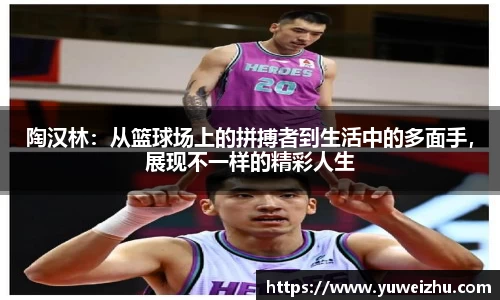 333体育官网